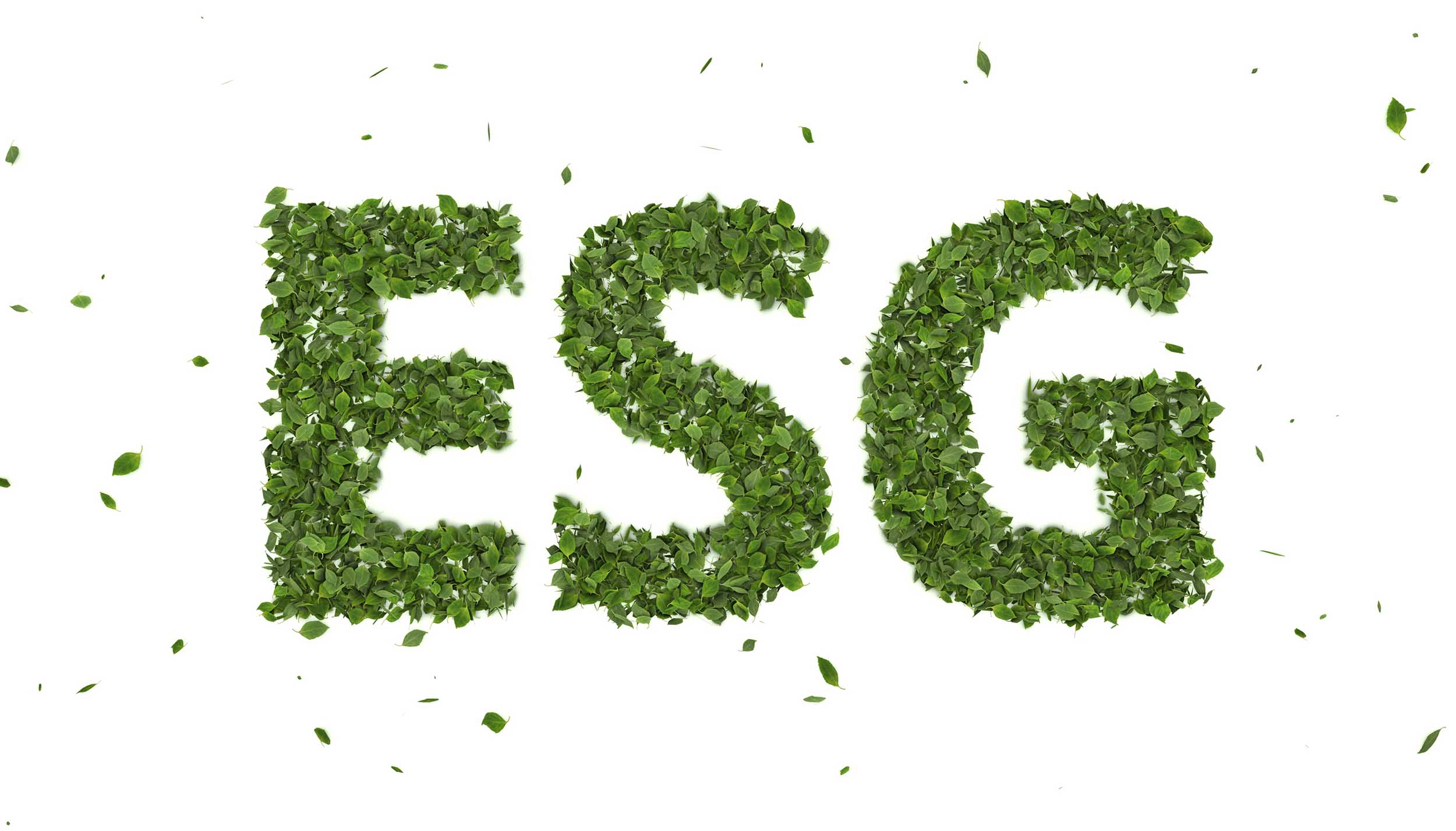 ESG at Financial Cloud

